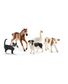 ASSORTIMENT D'ANIMAUX FARM WORLD