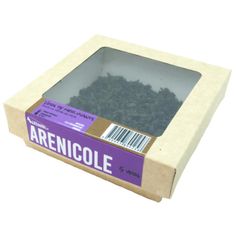 VER ARENICOLE