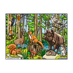 COLORIAGE LES ANIMAUX DE LA FORET