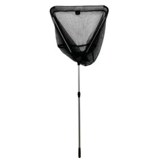 EPUISETTE CARNASSIER